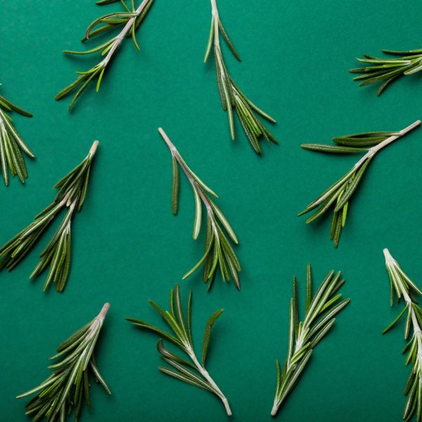 Rosemary Essential Oil